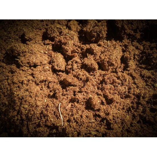 Sphagnum peat moss