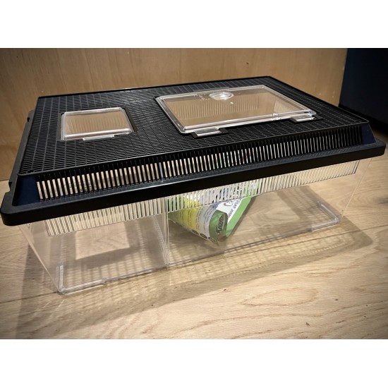 Terrarium Dragon XXL plat